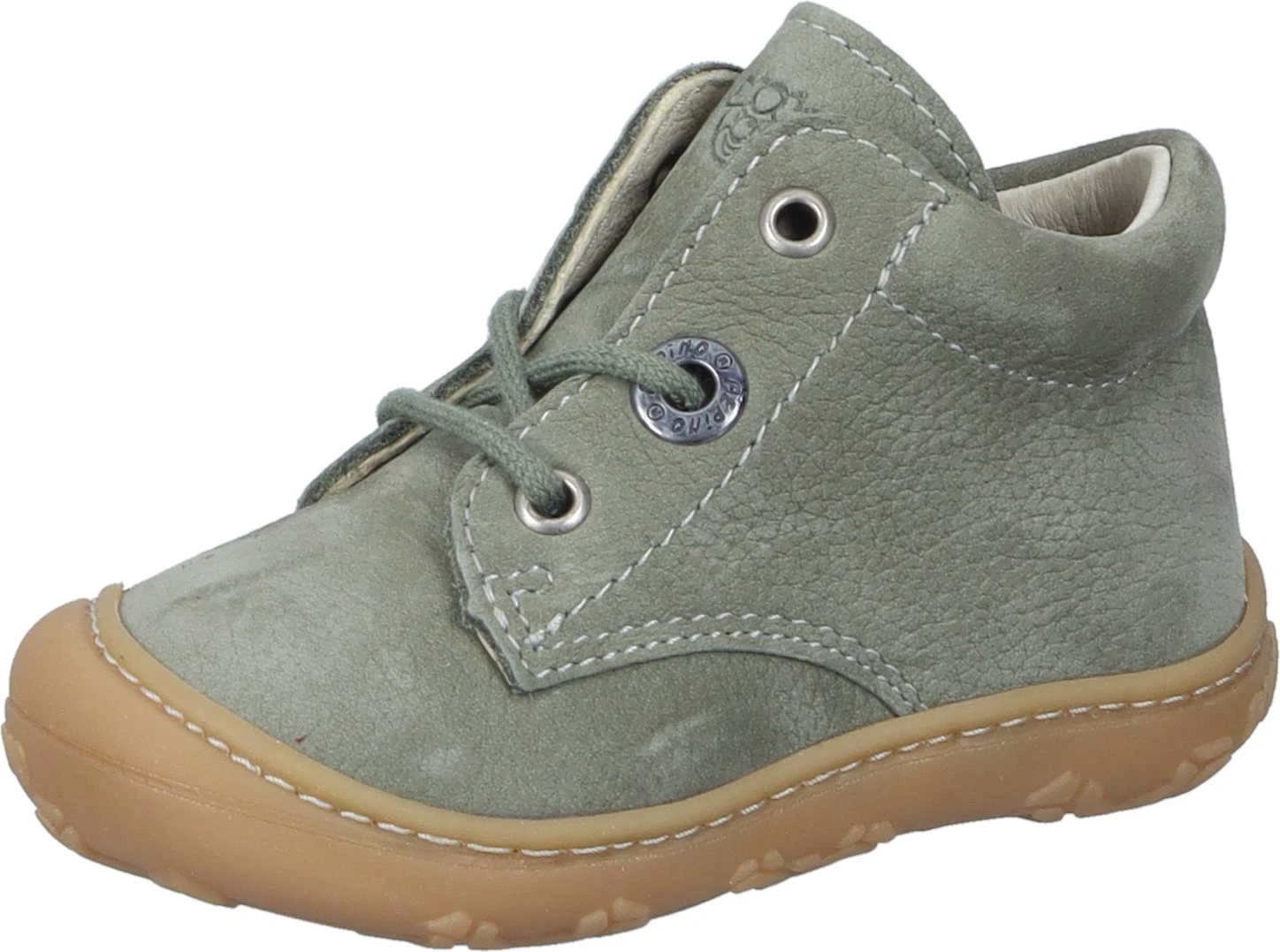 CORY Pepino Schnürer Grün 1 CORY Pepino Schnürer Grün