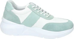 Piazza Schnürer Hellgrün 9 Piazza Schnürer Hellgrün -PS Schuhe Verkaufsladen 850059 71 71 004