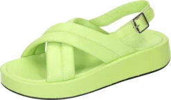 Piazza Damen Sandaletten Hellgrün