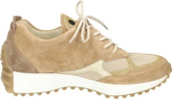 WALDLÄUFER Waldläufer Damen Schnürer Beige -PS Schuhe Verkaufsladen 950358 08 08 004