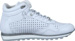 Cetti Sneaker Blau -PS Schuhe Verkaufsladen C1048SRA WHITE 03 004