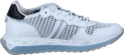 Cetti Sneaker Weiß 10 Cetti Sneaker Weiß -PS Schuhe Verkaufsladen C1311SRA WHITE 03 004