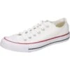 Converse Unisex Chuck Bunt